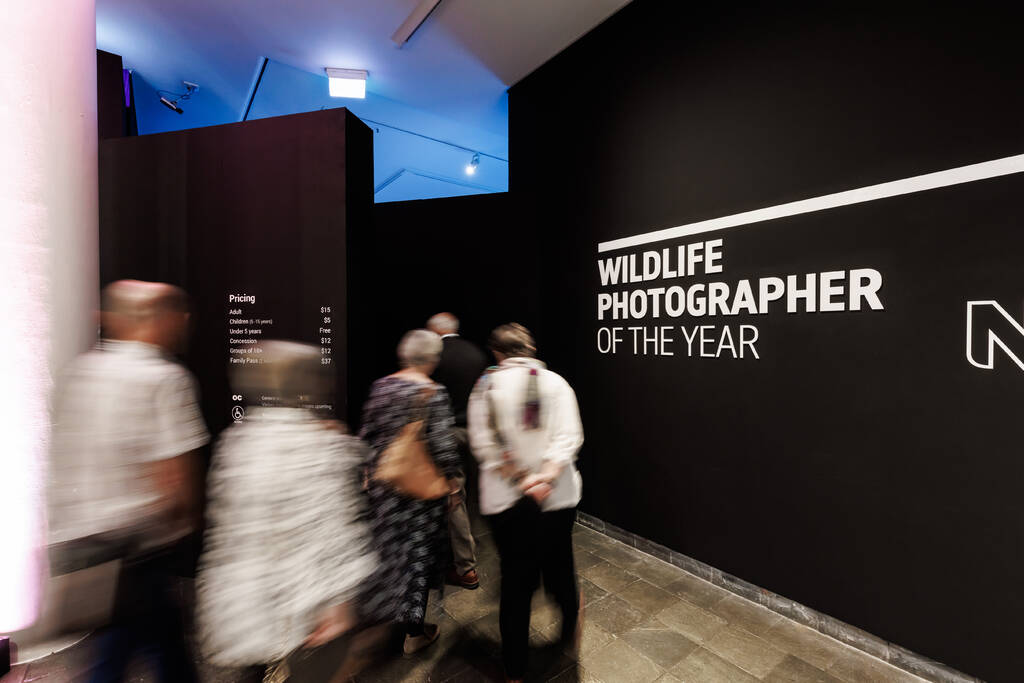 104_Museum_WildlifePhotographer_8Dec2022.jpg