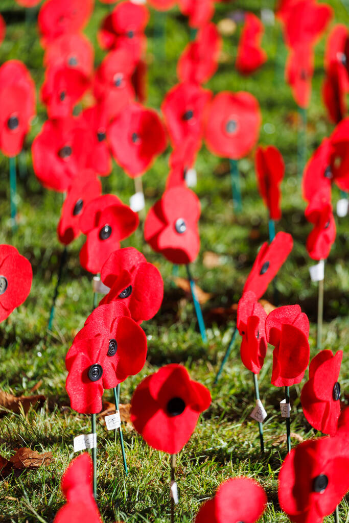 128_HCC_AnzacDay_25Apr2026.jpg