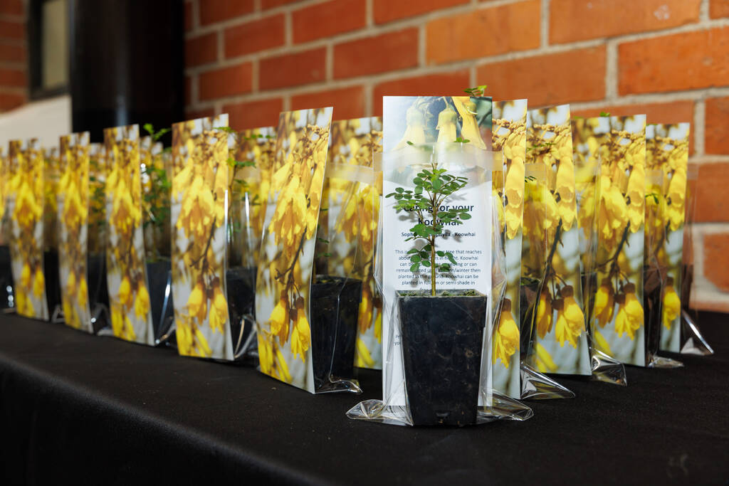 022_HCC_NZCitizenship_7Sep2026.jpg
