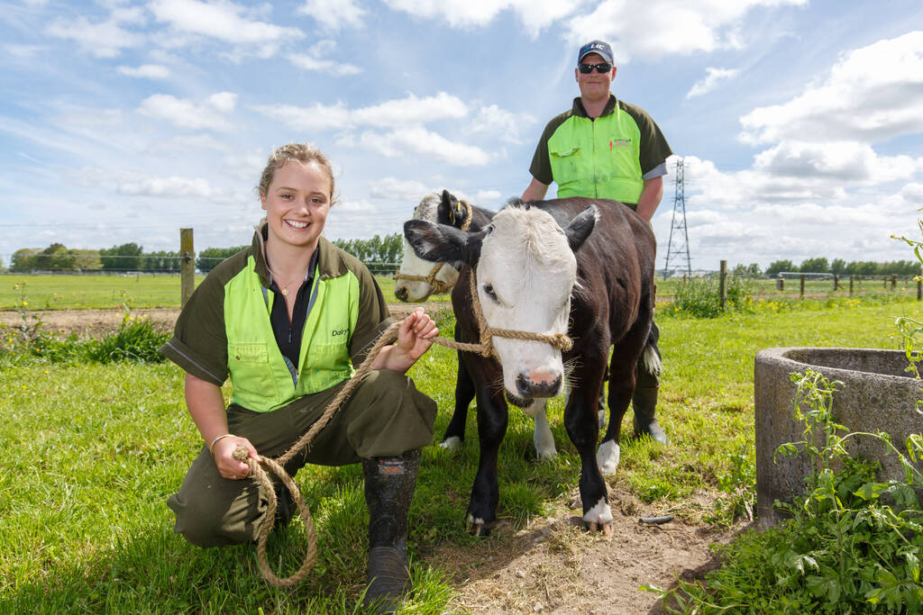 18_DairyNZ_3Nov2016.jpg