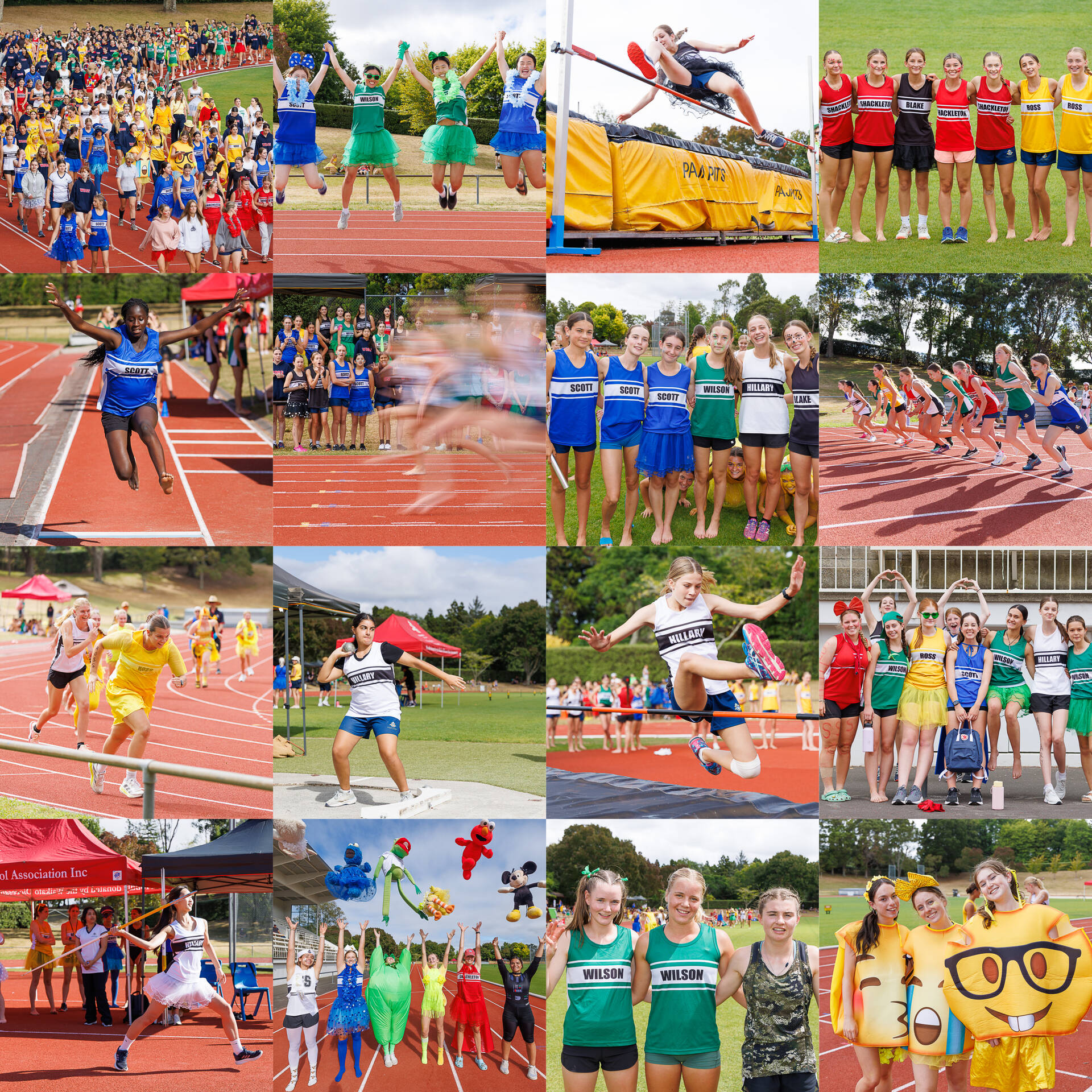 000_WDSG_AthleticsDay_27Feb2025.jpg