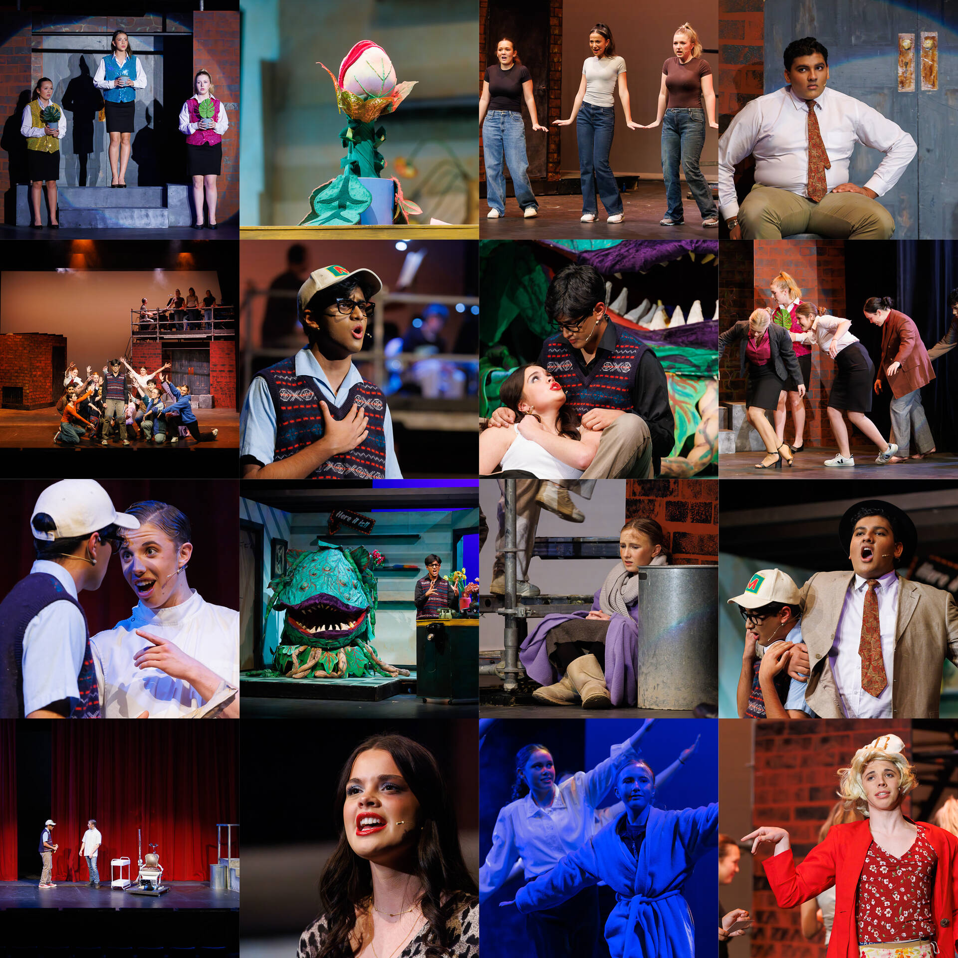 000_SPC_SchoolProduction_27Jun2024.jpg