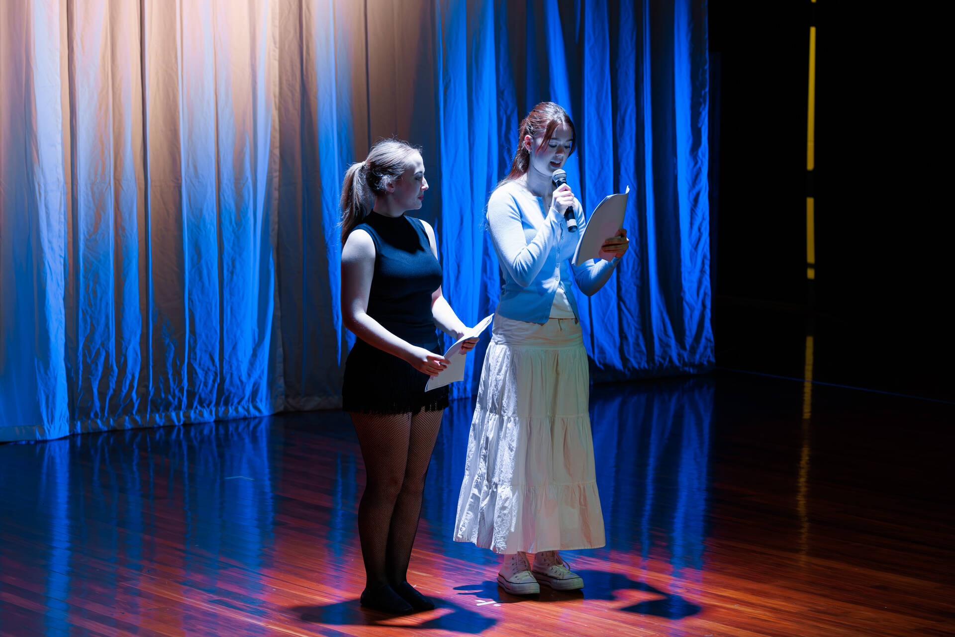 034_WDSG_ArtsShowcase_21Sep2026.jpg