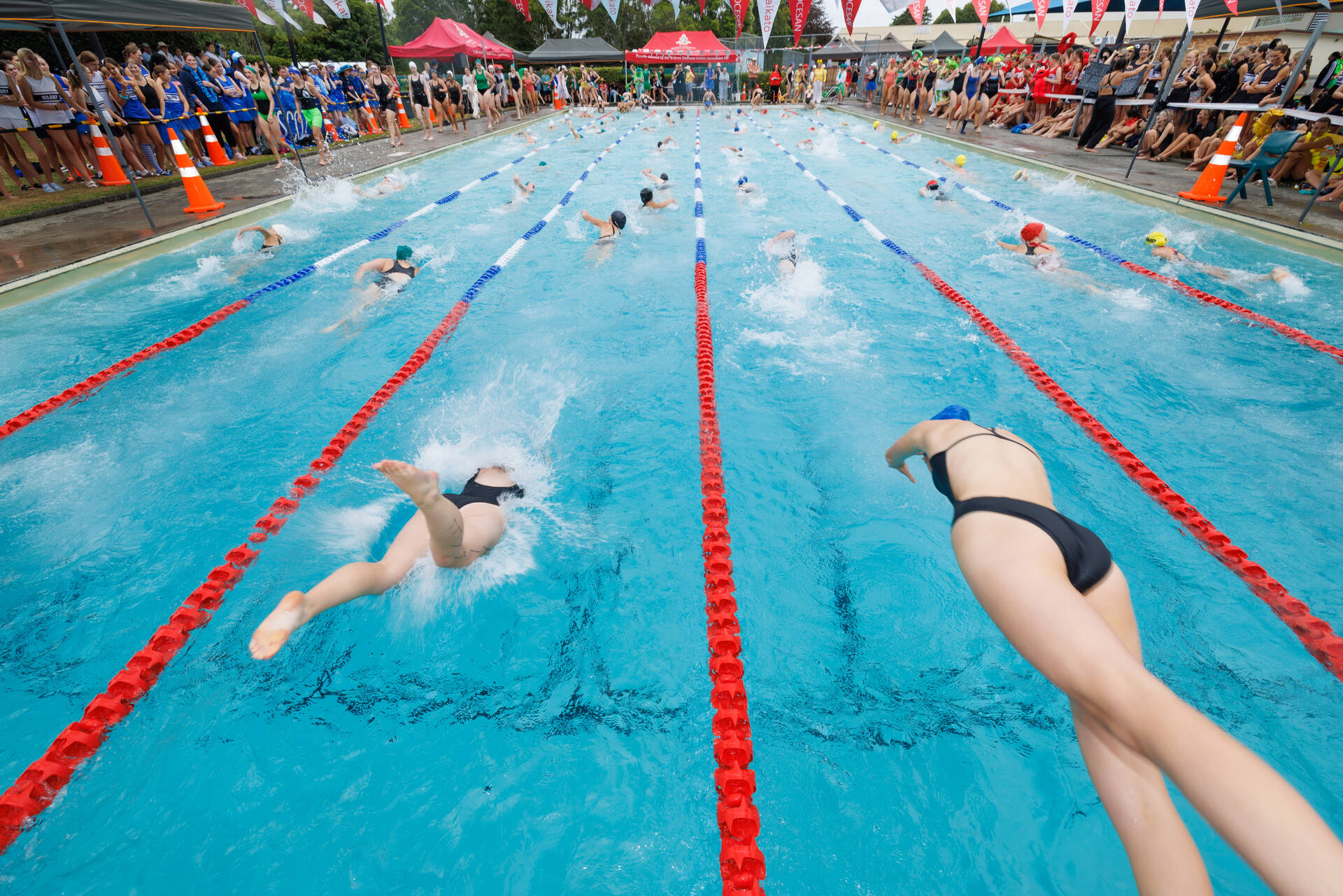 082_WDSG_SwimmingSports_19Feb2025.jpg